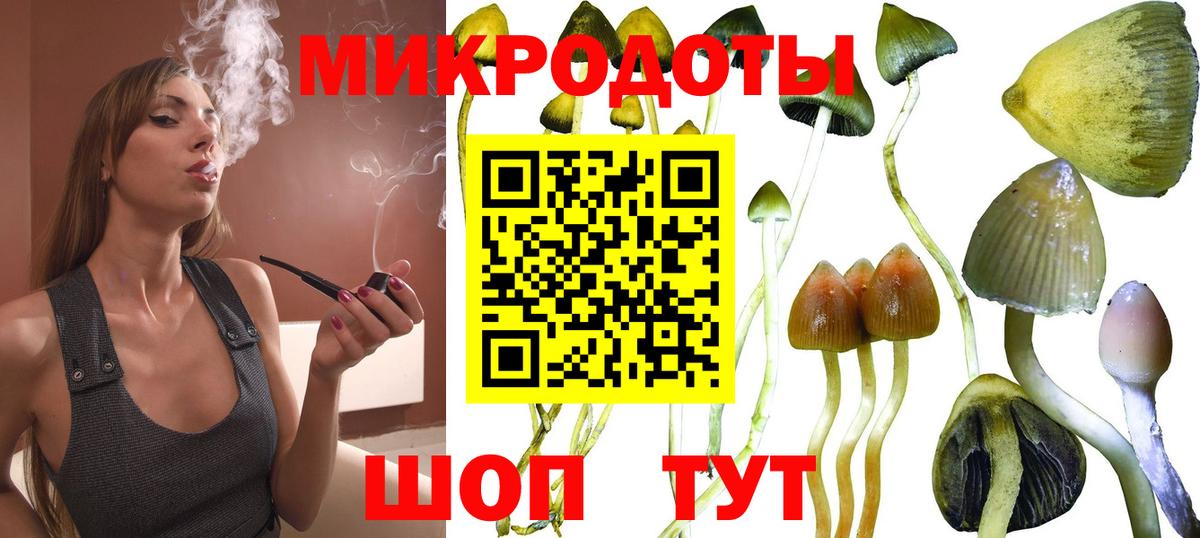 Галлюциногенные грибы Psilocybine cubensis  Вход с VPN  Иркутск 